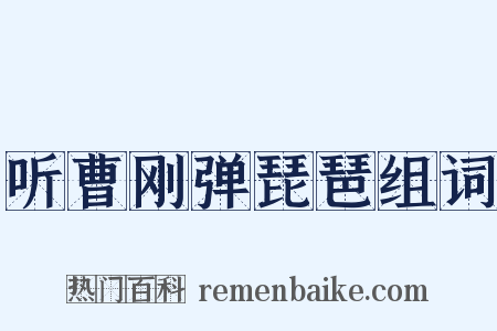 听曹刚弹琵琶组词是什么意思的图片